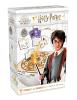 Harry Potter: Wizard Challenge