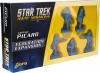 TNG Federation Away Team: Picard +4