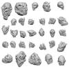 Martian Skulls
