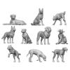Big Dogs