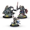 Warmachine: Old Umbrey Battlegroup Box