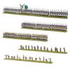 Black Powder Epic Battles: Revolution! - Hessians & Allies Brigade
