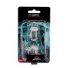 Wizkids - D&D Nolzurs Marvelous Miniatures: Flumph - Wave 12