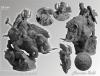 Moscal Dwarf on War Boar