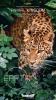 Earth: Animal Kingdom