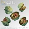 Frutti Di Mare Shelldon