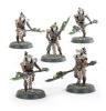 Necron Lychguard / Triarch Praetorians