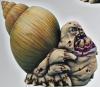 Chaos Snail #2
