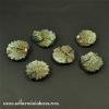 Roman 25mm round bases (5)