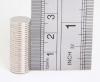 Rare Earth Magnets (10mm x 1mm) (x1)