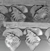 Wolf Shields (6)