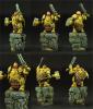 28mm/30mm Dwarf Gloin