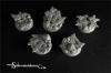 Cursed Earth 25 mm round bases set 1 (5)