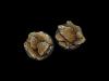 Shale Bases, Round 55mm (1)