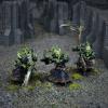 Undead Wights Regiment 2016