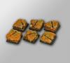 Royal Lion Ruins 20mm square Bases