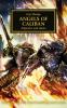 Horus Heresy: Angels of Caliban (A5 Hardback)