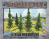 Large Pine Wood