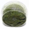 Element Essentials: Summer Grass Mix 2
