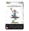 Tzeentch Arcanites Tzaangor Shaman