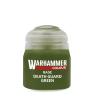 Warhammer Base: Death Guard Green (12ml)