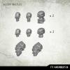 Alien Skulls (14)