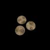 Wasteland Bases, Round 50mm (2)