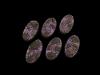 Possessed Bases, Oval 60mm (4)