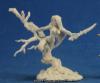 Dryad