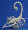 Giant Scorpion