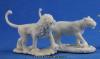 Lions(2)