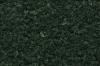 Dark Green Foliage
