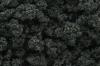 Forest Green Bushes (Bag) 2