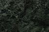 Dark Green Lichen