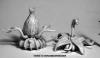 Death Star Lilies (2)