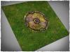 Roots of Magic Fields - 2x2 Vinyl