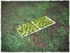 Tuft / Flock - Green