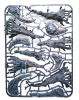 Age Of Sigmar: Awakened Wyldwood 3