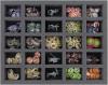 FS050A007 Feldherr foam tray for Shadows of Brimstone - 25 compartments