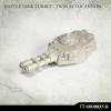 Battle Tank Turret: Twin Autocannon (1)