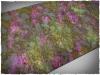 Xenos Jungle - 44x90 Vinyl