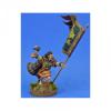 Irish Warbanner Bearer
