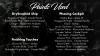 Artis Opus Cloaking Eldar Ship Bundle 2