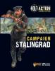 Stalingrad Campaign Book