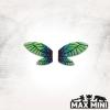 Dragonfly wings