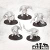 Orc Alliance Veterans (5)