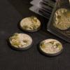 Arid Steppe RoundLip 50mm (x3)