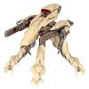 PHR Chronus Behemoth