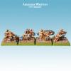 Amazons Warriors