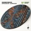 Spaceship Corridor Oval 170mm (x1)